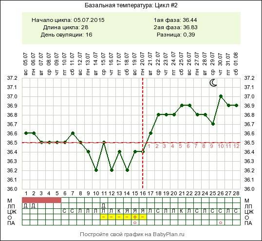Наступление беременности после овуляции