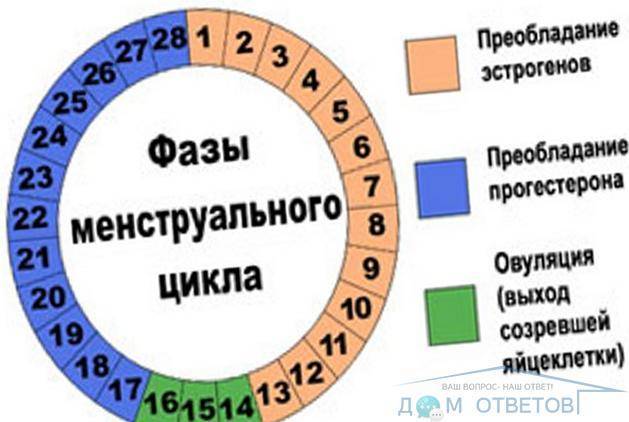 «до беременности...определение овуляции» (ж-л "9 месяцев", №4, автор акушер-гинеколог цир, к.м.н.томилова м.в.)