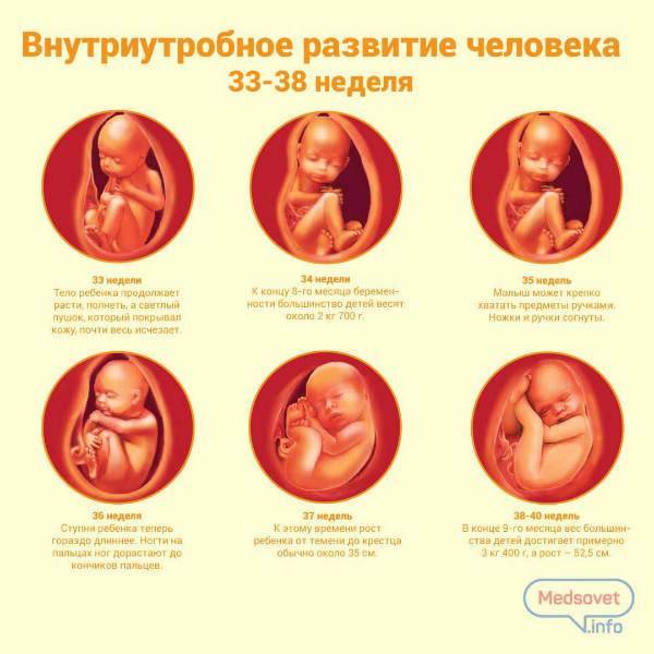 «эмбрион» не равно «человек». почему аборт нельзя приравнивать к убийству