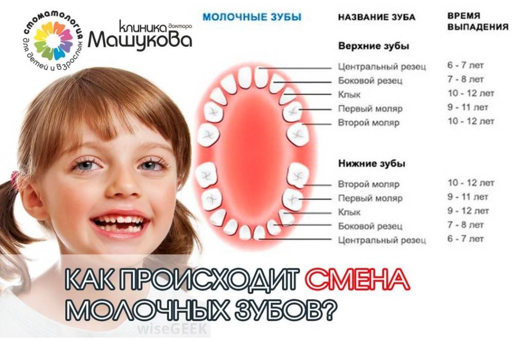 Волноваться или нет? 7 популярных вопросов о выпадении молочных зубов у детей с ответами врача-стоматолога