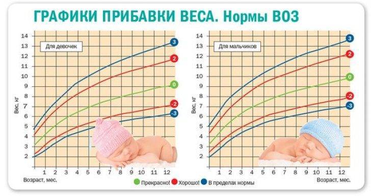 Рост и вес ребенка до года (норма роста и веса у детей)