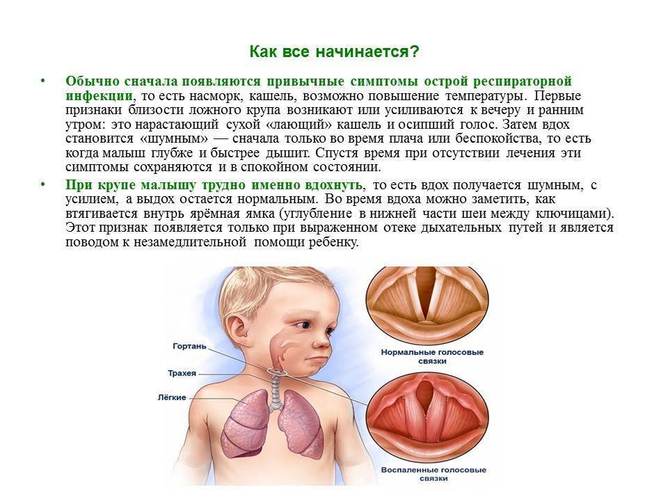 Детские тики - диагностика, лечение.  интервью с детским неврологом, к.м.н. новиковой еленой борисовной