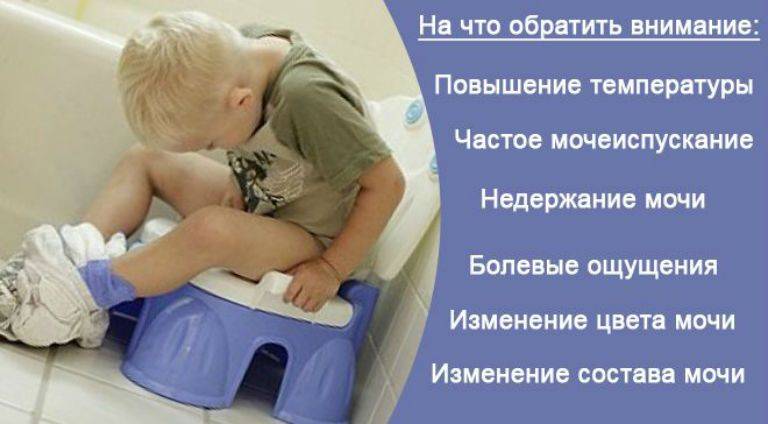 Частое мочеиспускание у детей: лечение частого мочеиспускания у детей, прием уролога в москве