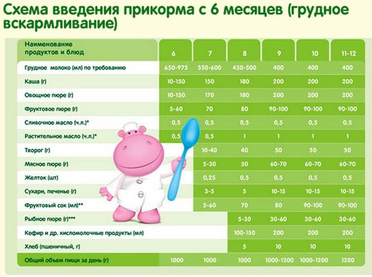 Сколько должен съедать ребенок в 5-6 месяцев и как разнообразить его меню