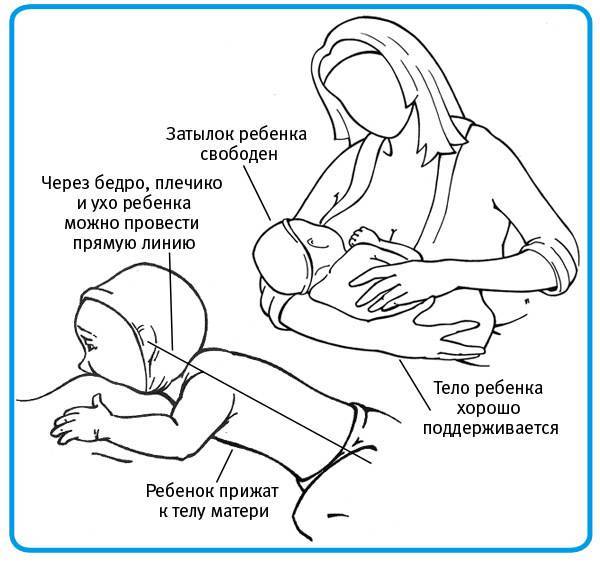 Как правильно держать новорожденного ребенка столбиком, при подмывании (фото)