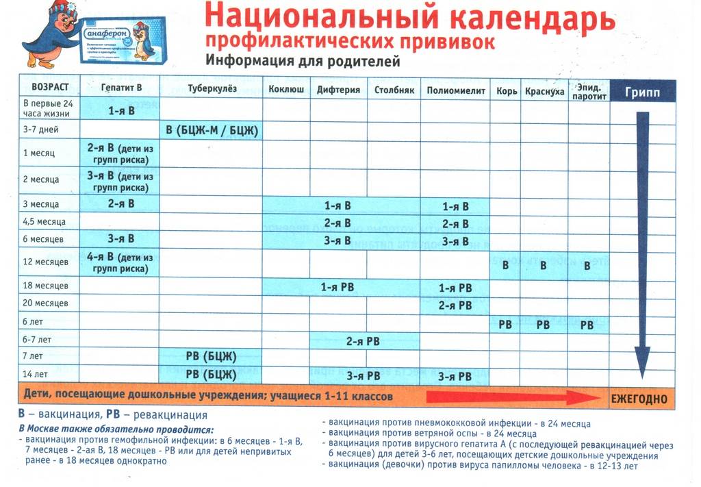 Календарь прививок для детей до 3 лет в россии: таблица с графиком и списком вакцинации
