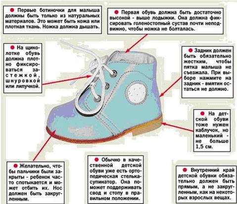 Первые шаги ребенка: какая обувь для этого нужна, ее размер. рекомендации евгения комаровского