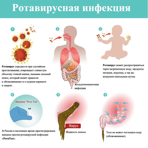 Аденовирусные, норовирусные и ротавирусные инфекции у детей