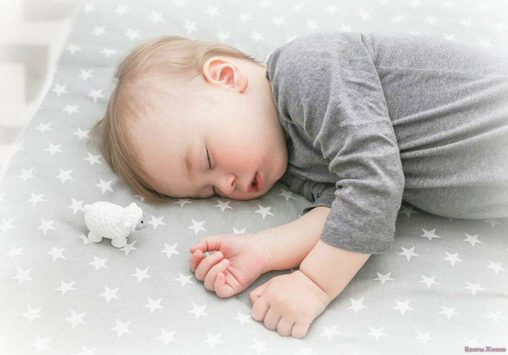 Почему ребенок 7 месяцев плохо спит ночью