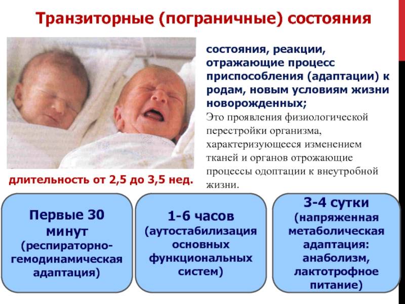 Пограничные состояния у новорожденных | eurolab | педиатрия