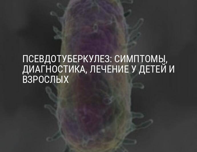 Антитела к возбудителям псевдотуберкулеза, yersinia pseudotuberculosis рнга (титр)