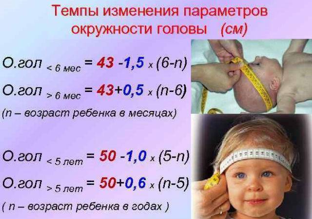 Окружность головы 41 см в 2 месяца. каким должен быть размер головы ребенка по месяцам