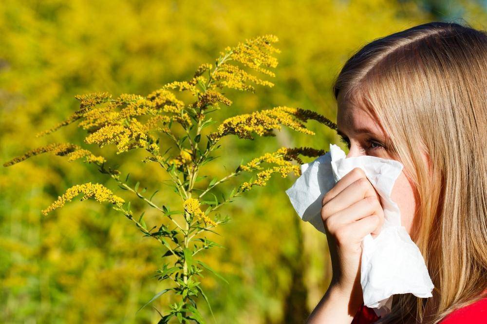 Сезонная аллергия (поллиноз)