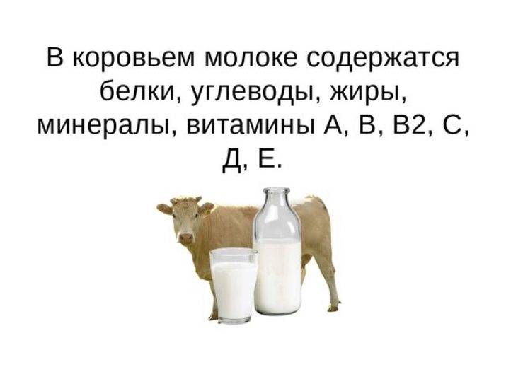 С какого возраста можно давать козье молоко ребенку: польза и вред, для грудных детей, до года