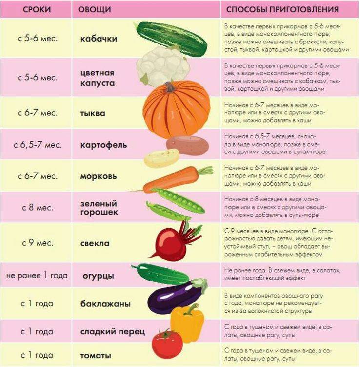 Выбор овощного пюре для первого прикорма ребенка 4-6 месяцев: рецепты и последовательность введения новых овощей