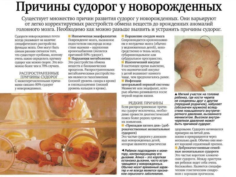 Зрение у новорожденных «ochkov.net»