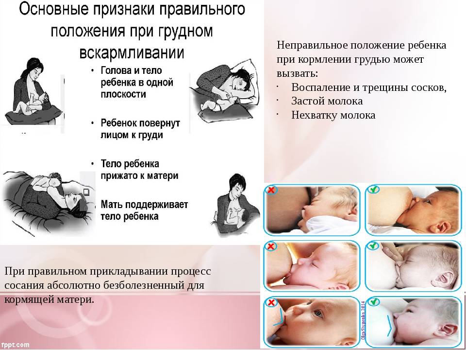 Можно ли забеременеть во время грудного вскармливания: беременность после родов
