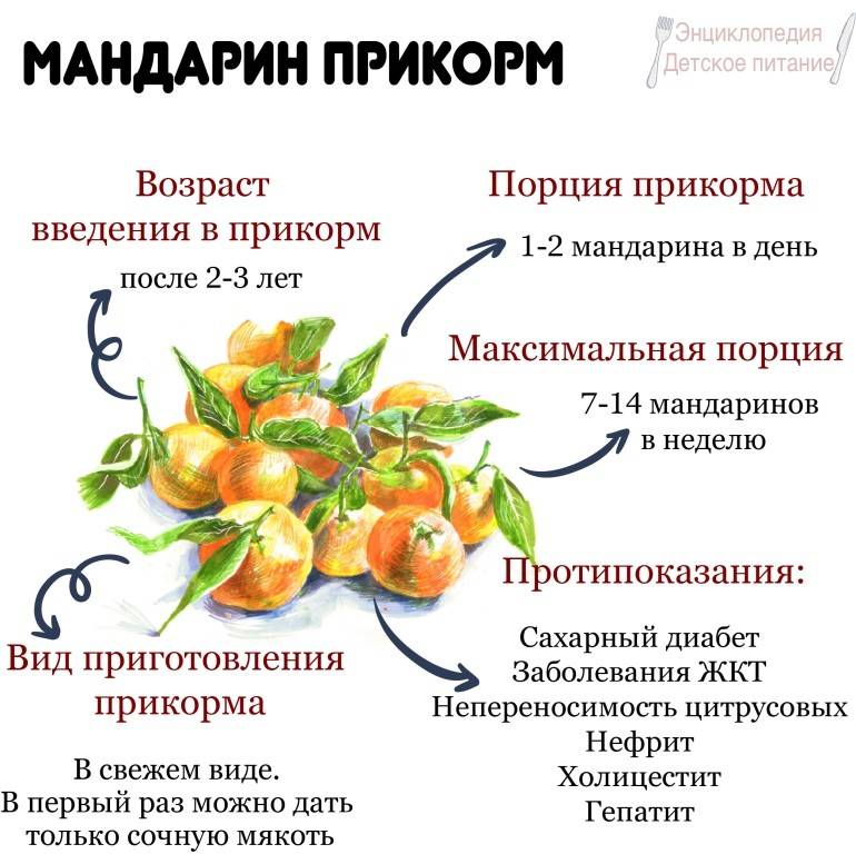 С какого возраста можно давать ребенку мандарины?