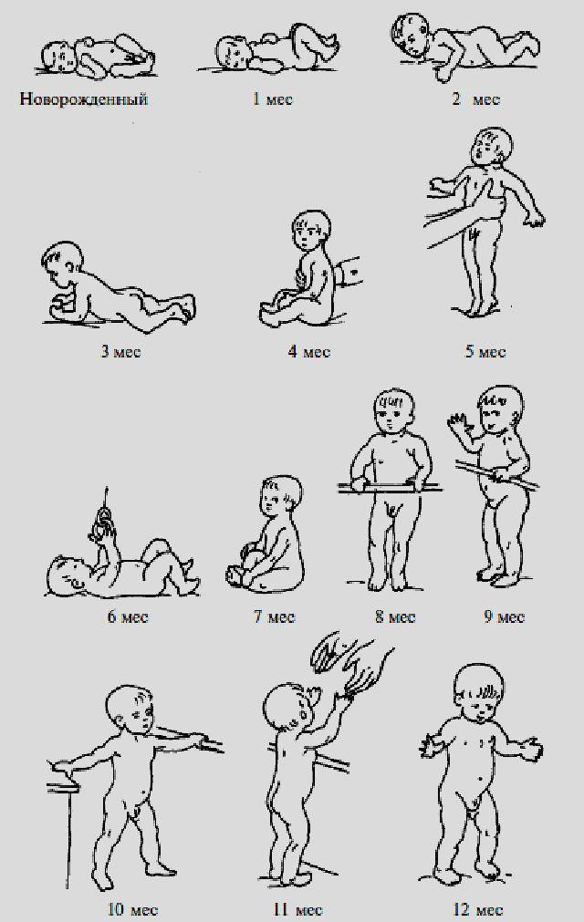 Комплекс упражнений для детей  от 2,5 до 4 месяцев