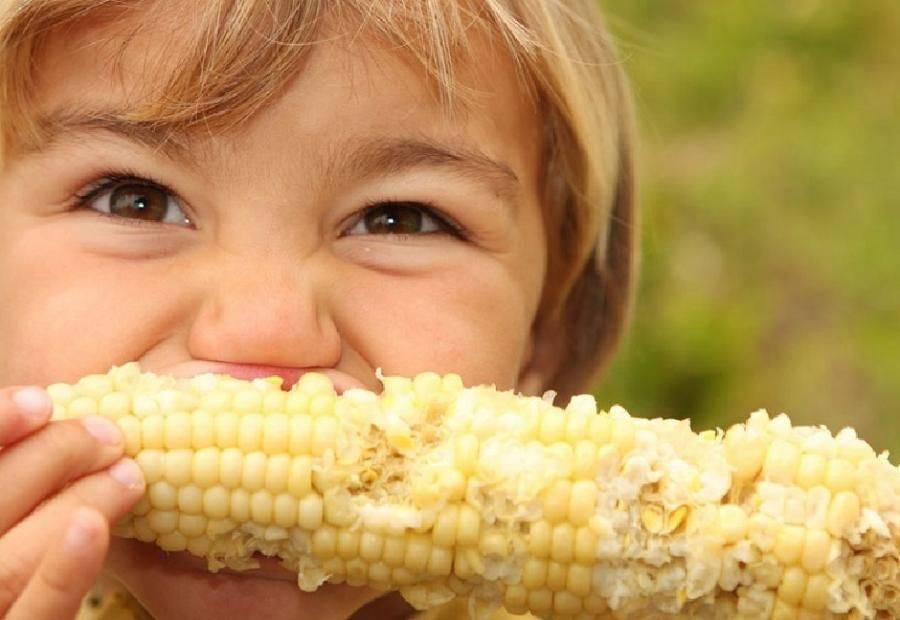 С какого возраста можно давать ребенку вареную кукурузу, чем она полезна?