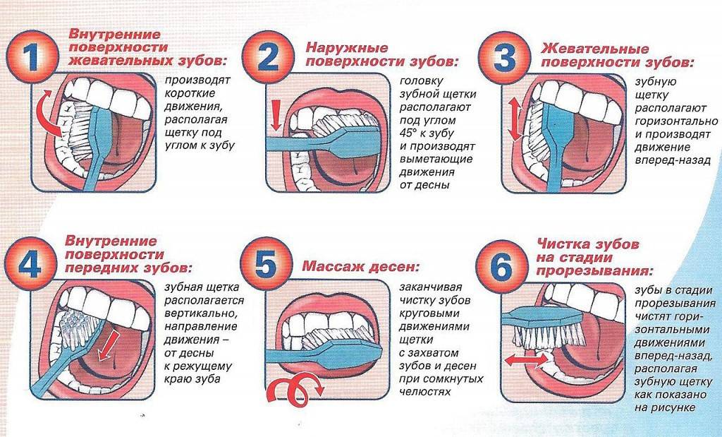 Первая зубная щетка для ребенка: критерии выбора - dentconsult.ru