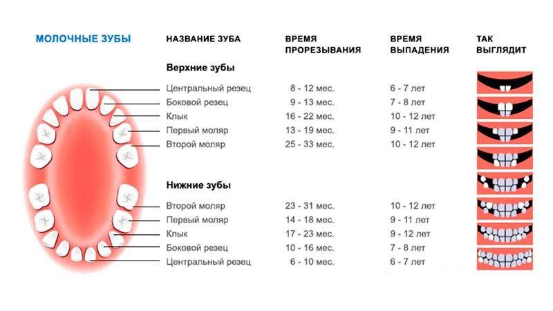 Симптомы при прорезывания зубов, возможные осложнения и их лечения