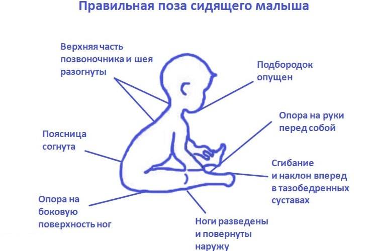 Е. комаровский: как научить ребенка ползать в 5 месяцев, что делать, если не ползает и не сидит в 6, 7, 8 месяцев
