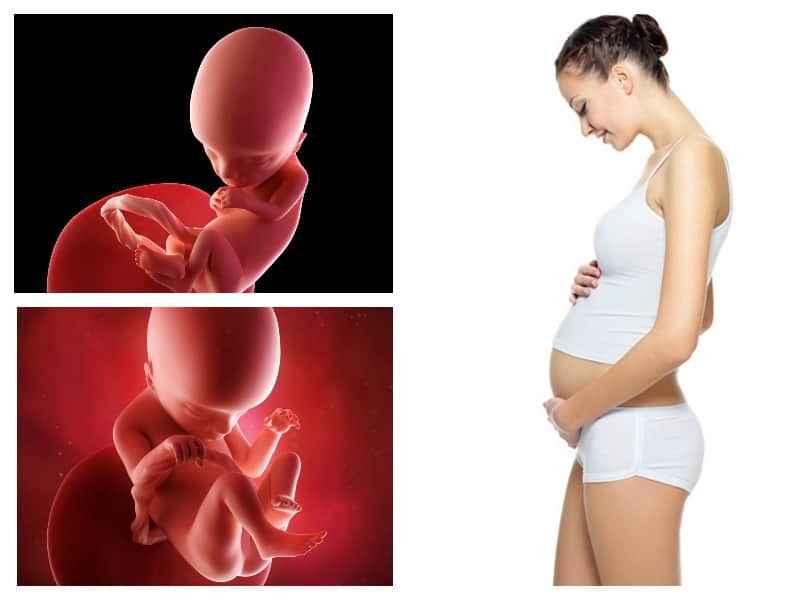 Изменения в женском организме во время беременности
