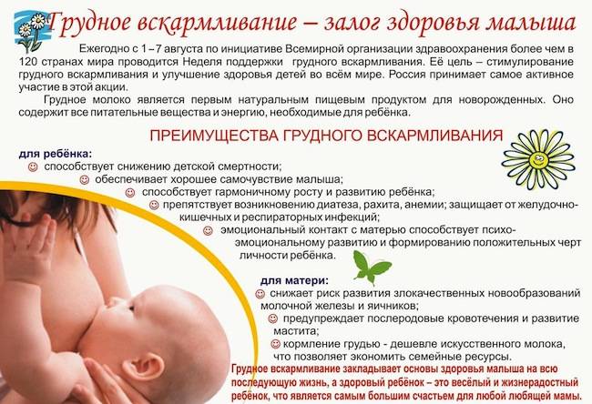 Нормы питания и рацион новорожденного