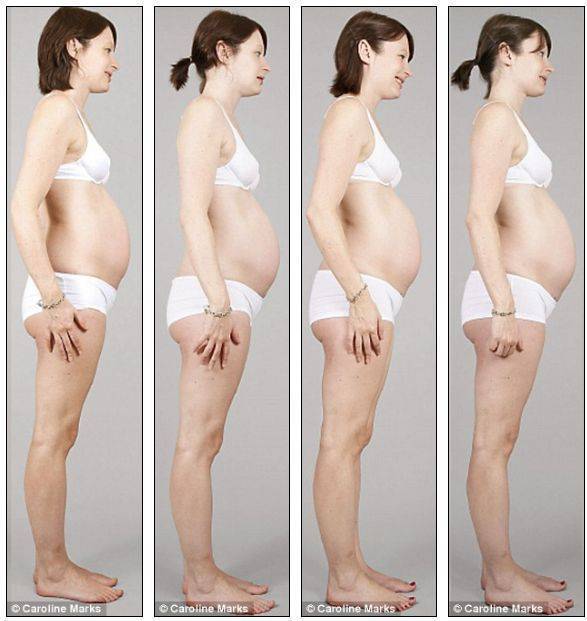 Живот во время беременности: от чего зависит размер и форма?