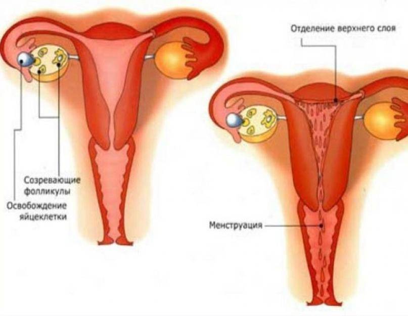 Скудные, редкие и короткие менструации: чем это опасно