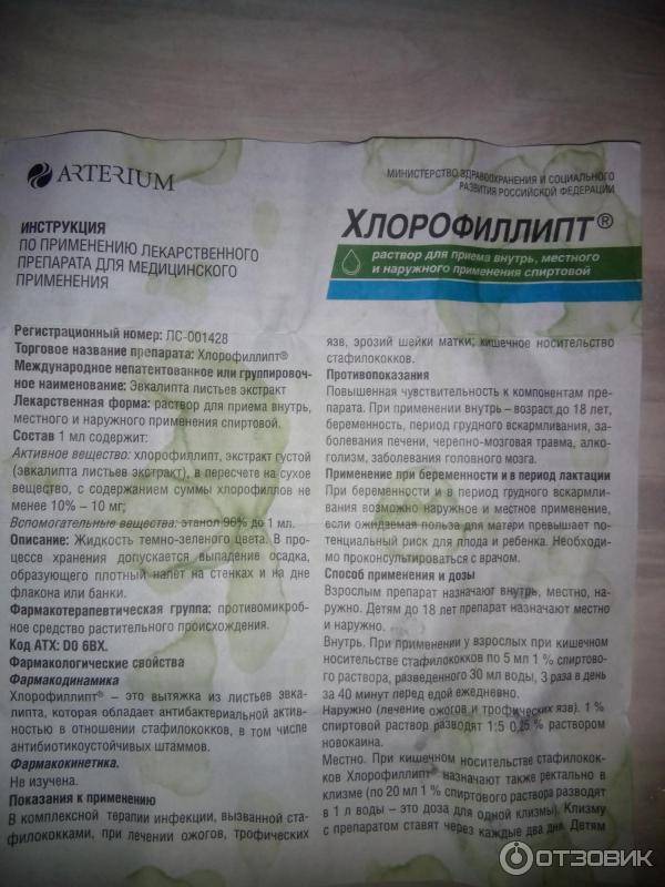 Хлорофиллипт