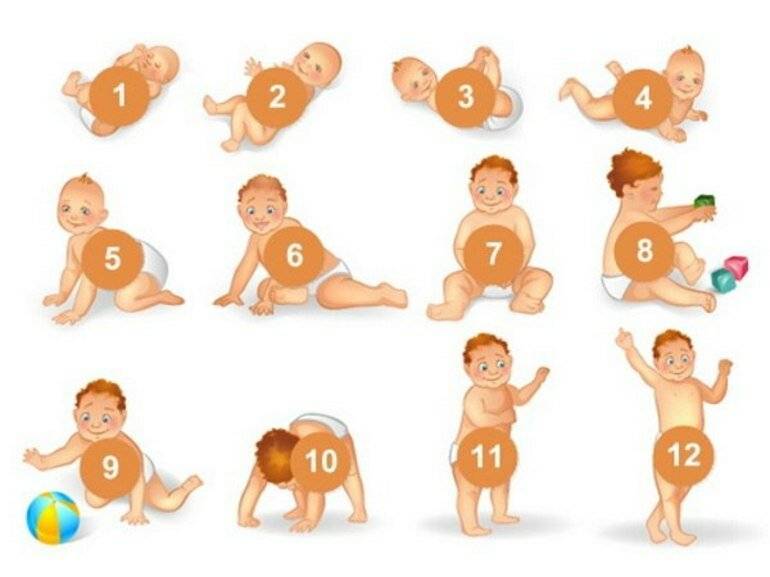 Ребенку 2 года 10 месяцев – как развивается малыш и что умеет?