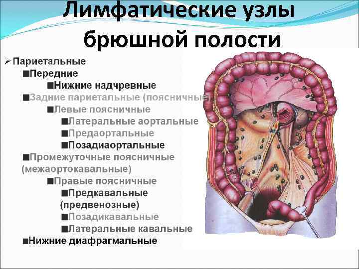 Лимфоузлы в кишечнике у ребенка — причины воспаления