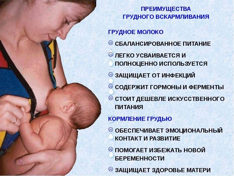 Сколько по времени и как часто кормить новорожденного грудным молоком?