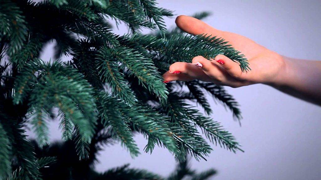 Как выбрать елку на новый год