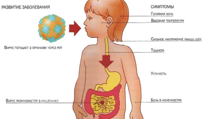Понос и температура у ребенка