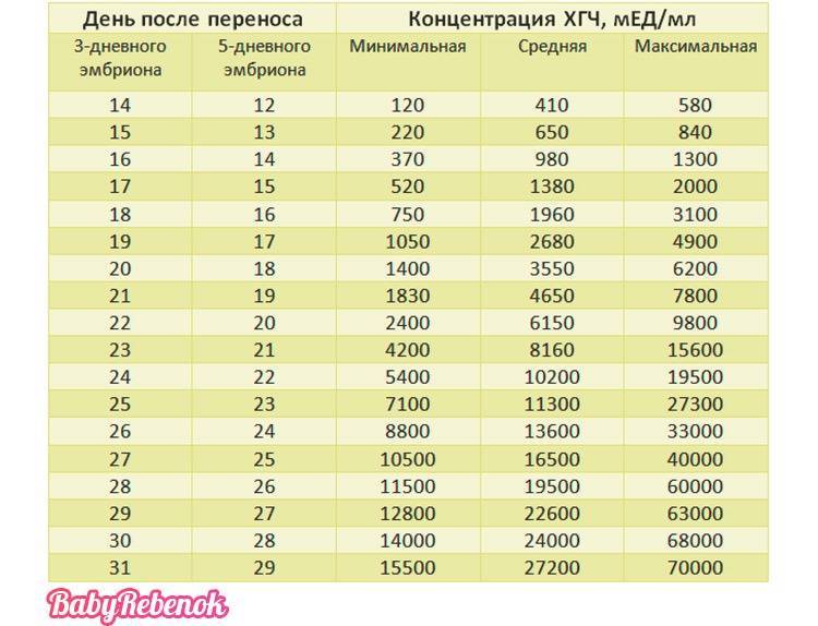 Эко и сроки беременности | клиника "центр эко" в москве