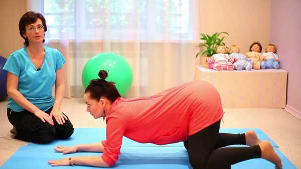 Коленно-локтевое положение при беременности: фото и какие позы можно применять, польза дренажной позиции | rucheyok.ru