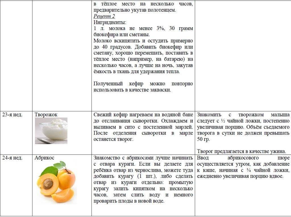 Прикорм: как приготовить пюре из овощей и фруктов. 10 рецептов. как готовить овощное пюре для первого прикорма
