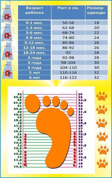 Размер ноги ребенка по возрасту для подбора обуви: таблица в сантиметрах