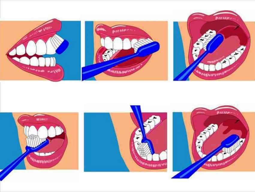 Когда нужно начинать чистить зубы ребенку: с какого возраста и как приучать детей к гигиене?