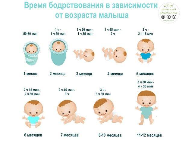 Режим дня новорожденного в первый месяц: кормление ребенка, распорядок, сон