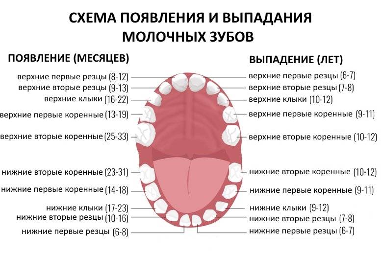 Что делать пациенту, если остался только корень зуба