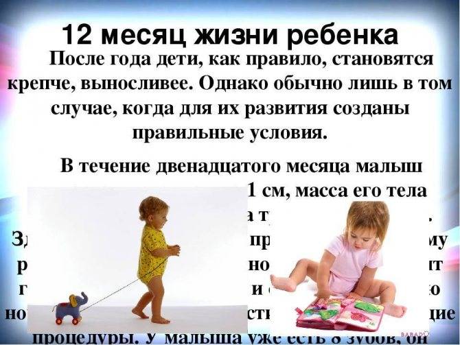 Развитие ребенка в 1 год и 11 месяцев: физическое, эмоциональное, интеллектуальное | badiga.ru