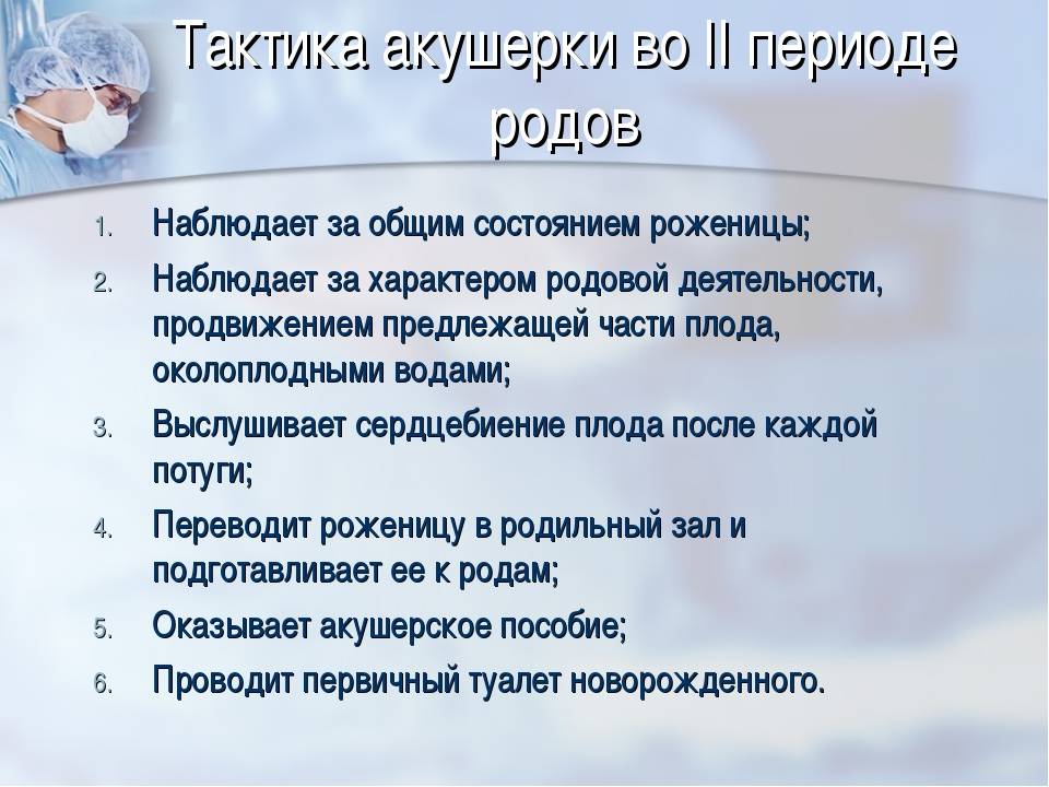 Составление плана ведения физиологических родов алгоритм