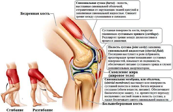 Боль в колене при приседании на корточки: лечение в клинике стопартроз в москве