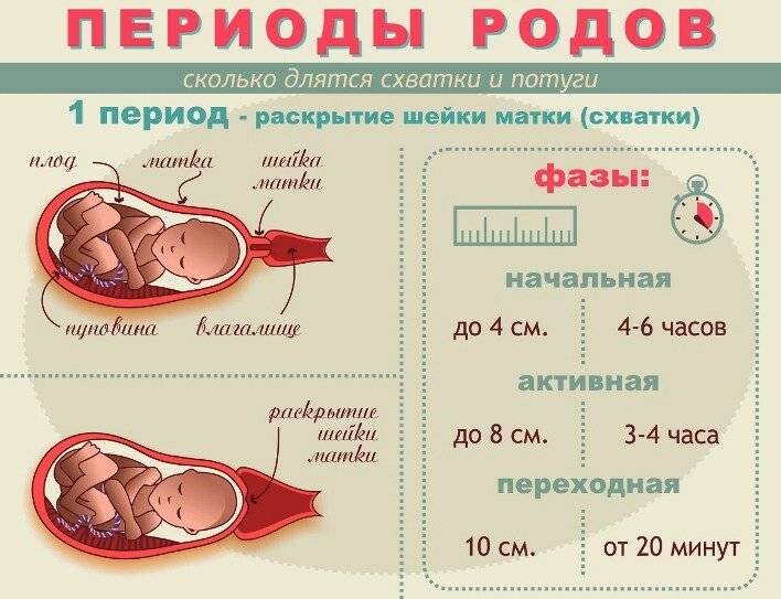 Калькулятор беременности по неделям: расчет срока беременности и даты родов по дню первого шевеления плода :: polismed.com