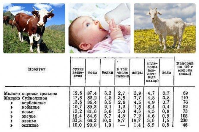 Действительно ли нужно ребенку коровье молоко?