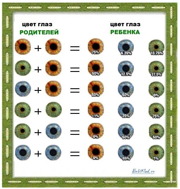 Какой цвет глаз у ребёнка будет от родителей - таблица oculistic.ru какой цвет глаз у ребёнка будет от родителей - таблица